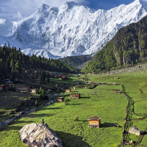 5 Reasons to Book a Guided Tour