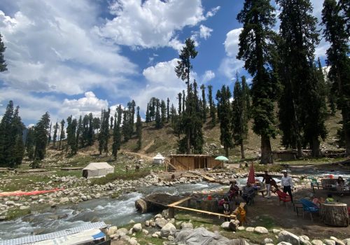 WhatsApp Image 2025-12-12 at 1.24.43 PM (1)