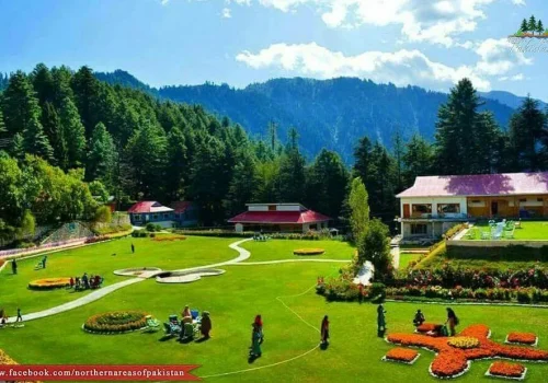 shogran